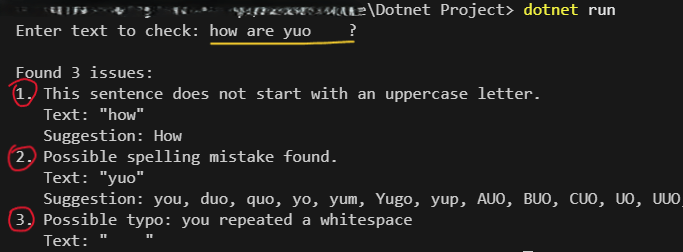 The .NET console app checking the input text and reporting three grammar issues